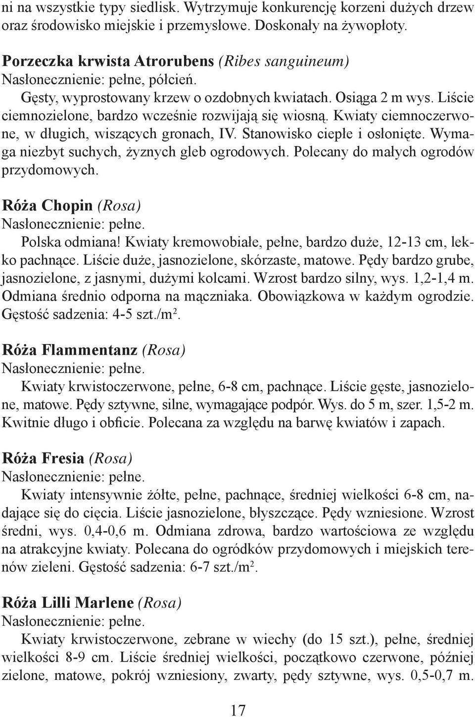 Kwiaty ciemnoczerwone, w długich, wiszących gronach, IV. Stanowisko ciepłe i osłonięte. Wymaga niezbyt suchych, żyznych gleb ogrodowych. Polecany do małych ogrodów przydomowych.