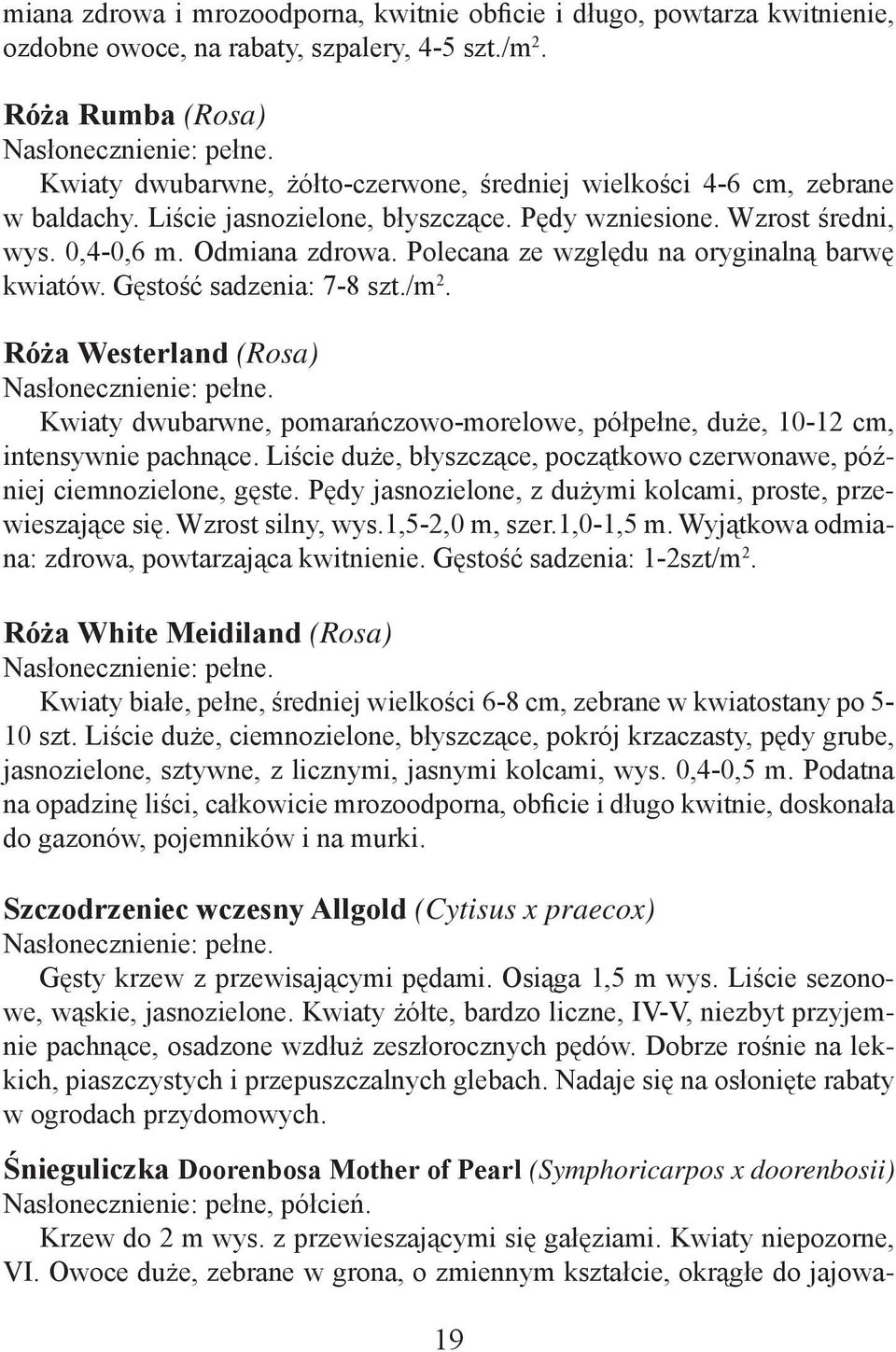 Polecana ze względu na oryginalną barwę kwiatów. Gęstość sadzenia: 7-8 szt./m 2. Róża Westerland (Rosa) Kwiaty dwubarwne, pomarańczowo-morelowe, półpełne, duże, 10-12 cm, intensywnie pachnące.