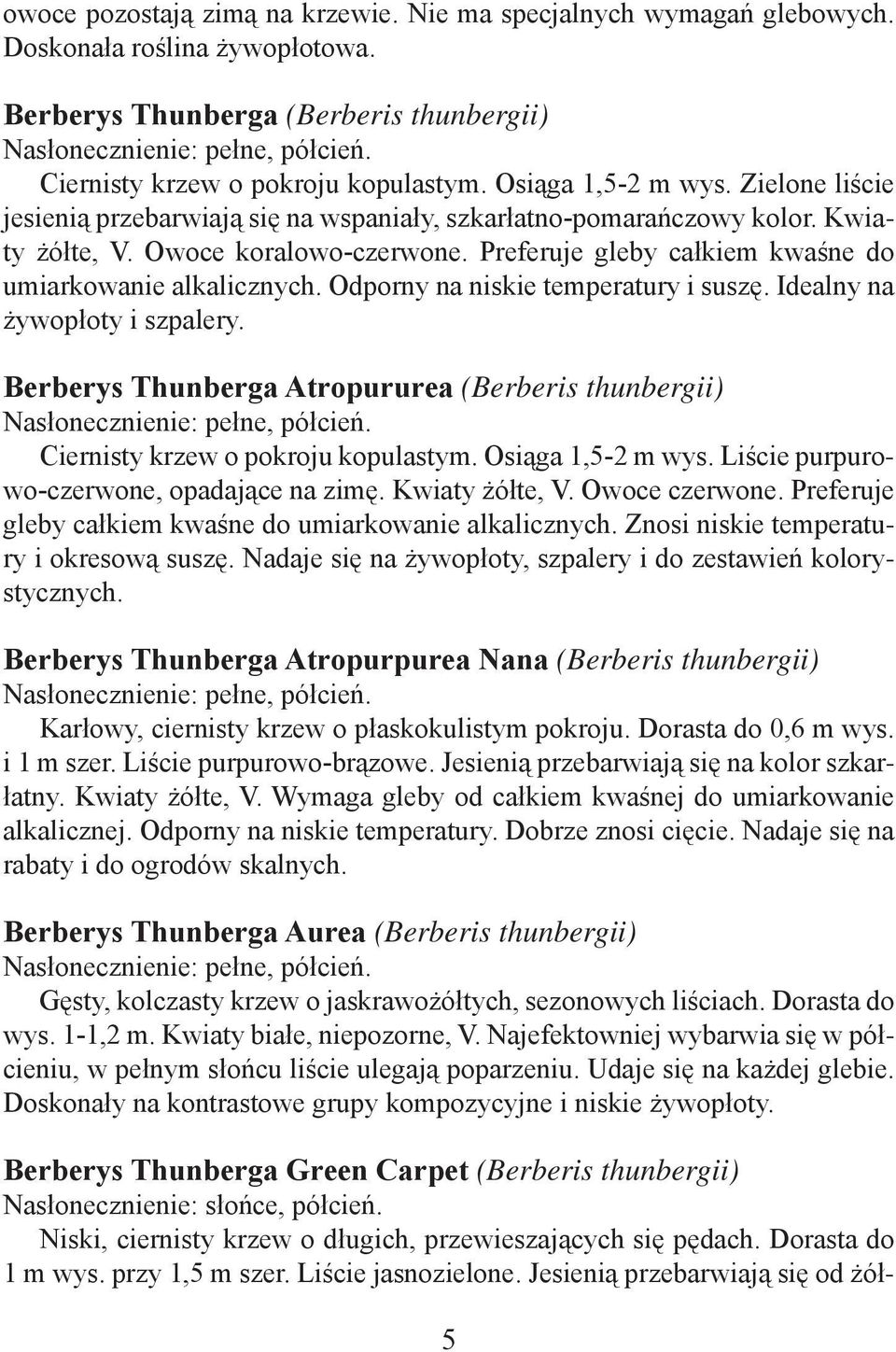 Odporny na niskie temperatury i suszę. Idealny na żywopłoty i szpalery. Berberys Thunberga Atropururea (Berberis thunbergii) Ciernisty krzew o pokroju kopulastym. Osiąga 1,5-2 m wys.