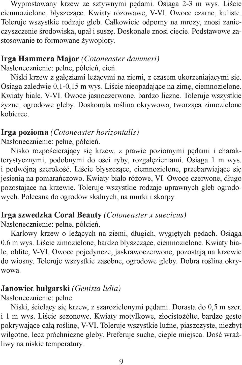 Irga Hammera Major (Cotoneaster dammeri) Nasłonecznienie: pełne, półcień, cień. Niski krzew z gałęziami leżącymi na ziemi, z czasem ukorzeniającymi się. Osiąga zaledwie 0,1-0,15 m wys.