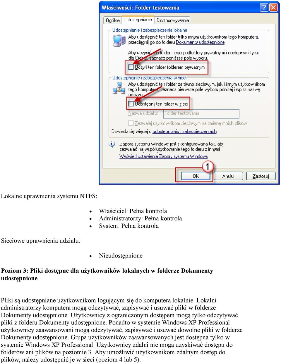 Lokalni administratorzy komputera mogą odczytywać, zapisywać i usuwać pliki w folderze Dokumenty udostępnione.