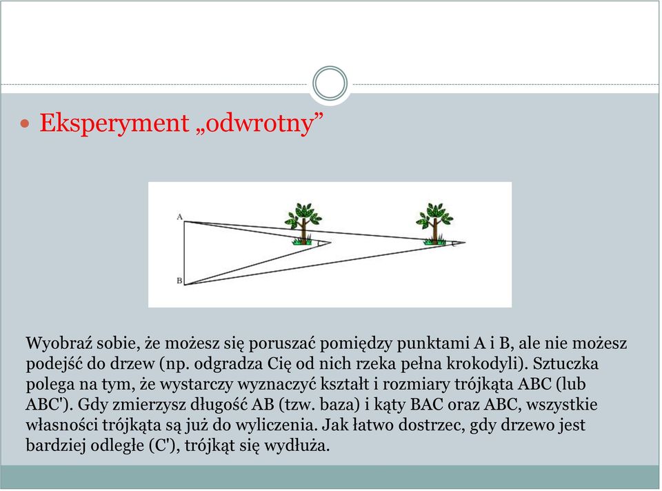 Sztuczka polega na tym, że wystarczy wyznaczyć kształt i rozmiary trójkąta ABC (lub ABC').