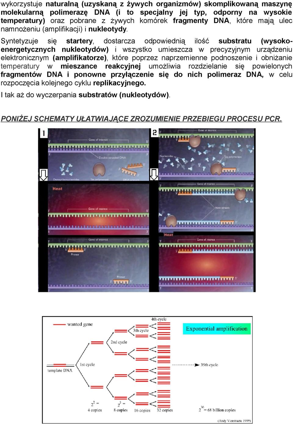 Syntetyzuje się startery, dostarcza odpowiednią ilość substratu (wysokoenergetycznych nukleotydów) i wszystko umieszcza w precyzyjnym urządzeniu elektronicznym (amplifikatorze), które poprzez