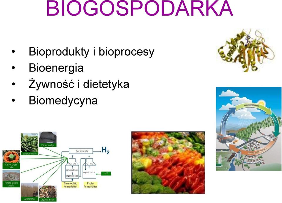 bioprocesy