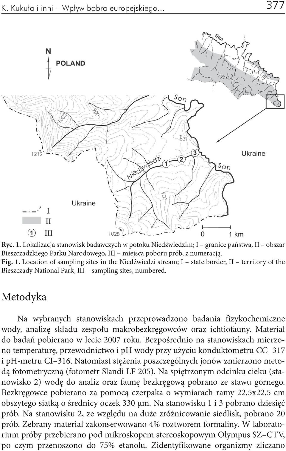 Location of sampling sites in the Niedźwiedzi stream; I state border, II territory of the Bieszczady National Park, III sampling sites, numbered.