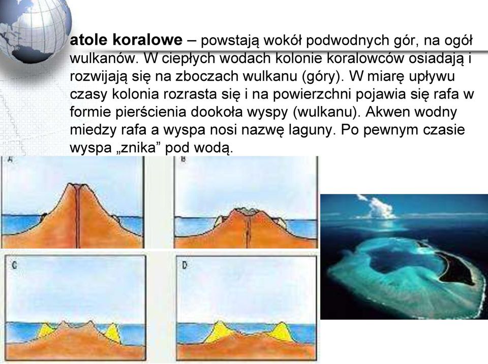 W miarę upływu czasy kolonia rozrasta się i na powierzchni pojawia się rafa w formie