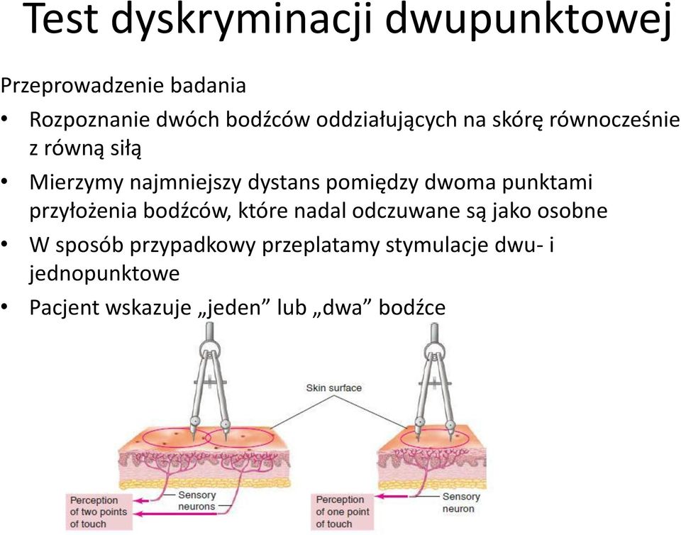 pomiędzy dwoma punktami przyłożenia bodźców, które nadal odczuwane są jako osobne W