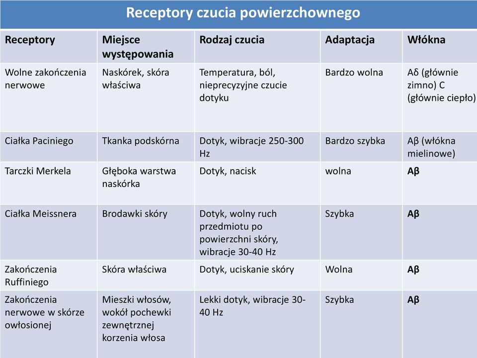 Meissnera Brodawki skóry Dotyk, wolny ruch przedmiotu po powierzchni skóry, wibracje 30-40 Hz Zakończenia Ruffiniego Zakończenia nerwowe w skórze owłosionej Bardzo szybka Dotyk,