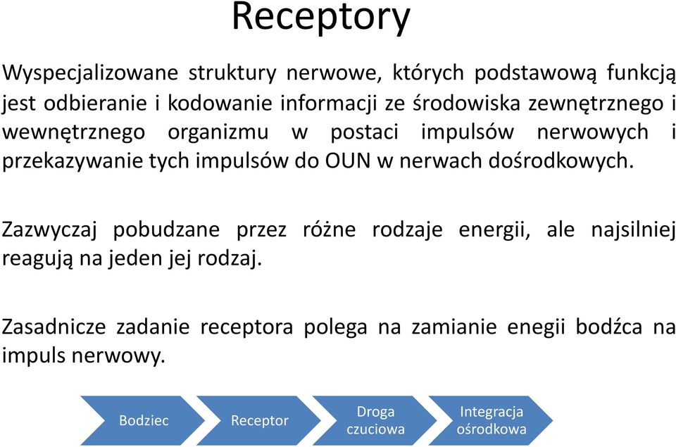 nerwach dośrodkowych. Zazwyczaj pobudzane przez różne rodzaje energii, ale najsilniej reagują na jeden jej rodzaj.