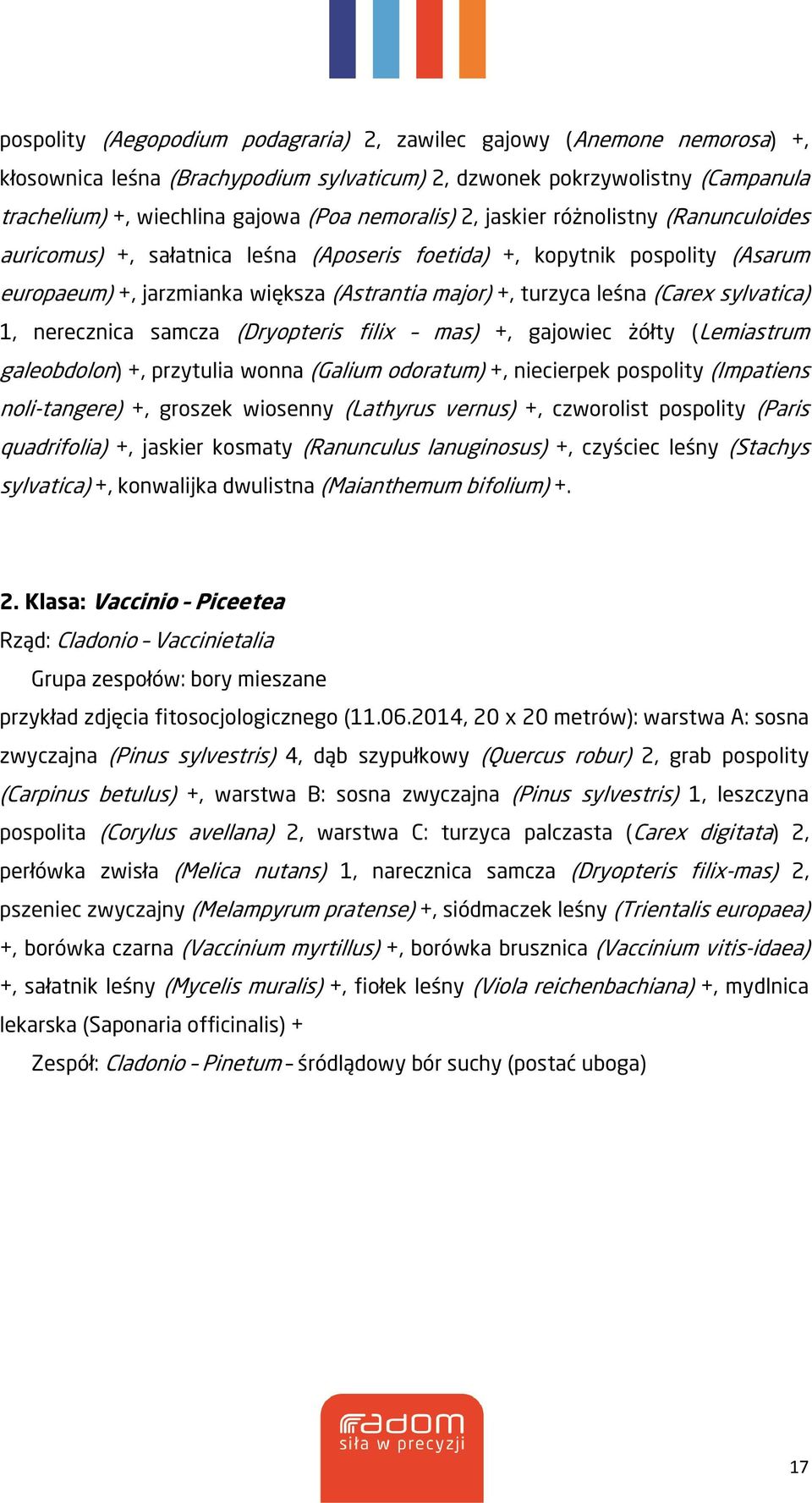 nerecznica samcza (Dryopteris filix mas), gajowiec żółty (Lemiastrum galeobdolon), przytulia wonna (Galium odoratum), niecierpek pospolity (Impatiens noli-tangere), groszek wiosenny (Lathyrus