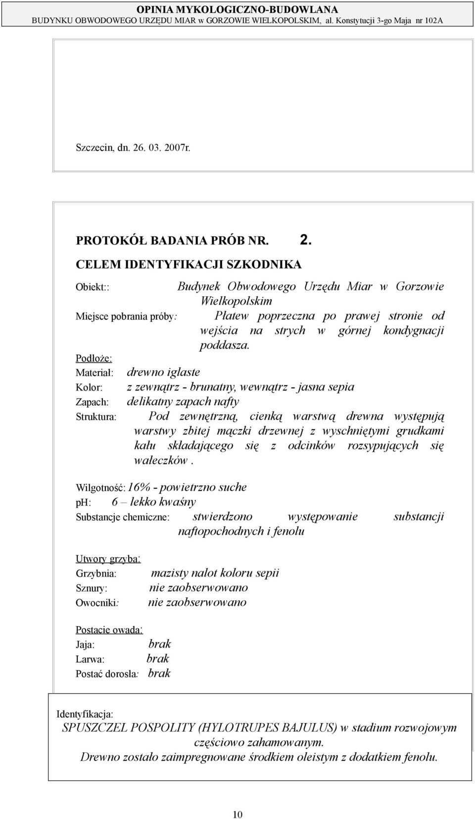 zewnętrzną, cienką warstwą drewna występują warstwy zbitej mączki drzewnej z wyschniętymi grudkami kału składającego się z odcinków rozsypujących się wałeczków Wilgotność: 16% - powietrzno suche ph: