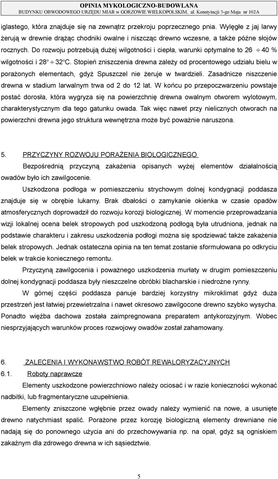 żeruje w twardzieli Zasadnicze niszczenie drewna w stadium larwalnym trwa od 2 do 12 lat W końcu po przepoczwarzeniu powstaje postać dorosła, która wygryza się na powierzchnię drewna owalnym otworem