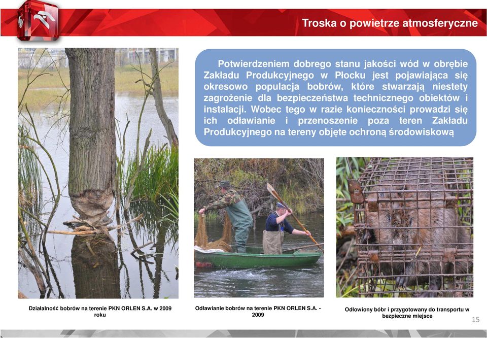 Potwierdzeniem dobrego stanu jakości wód w obrębie Zakładu Produkcyjnego w Płocku jest pojawiająca się okresowo populacja bobrów, które stwarzają niestety zagrożenie dla bezpieczeństwa technicznego