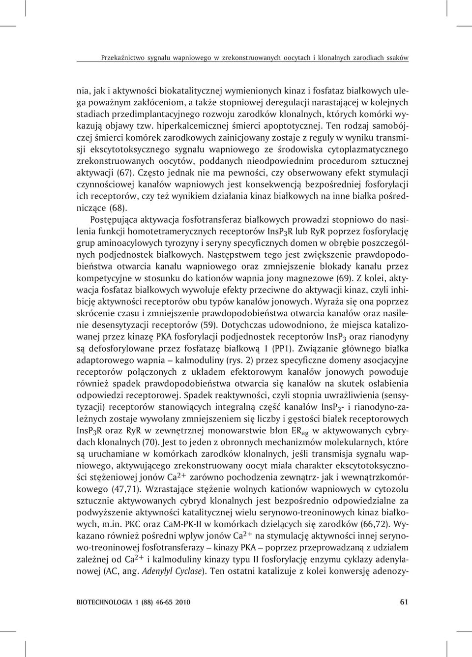 Ten rodzaj samobójczej œmierci komórek zarodkowych zainicjowany zostaje z regu³y w wyniku transmisji ekscytotoksycznego sygna³u wapniowego ze œrodowiska cytoplazmatycznego zrekonstruowanych oocytów,