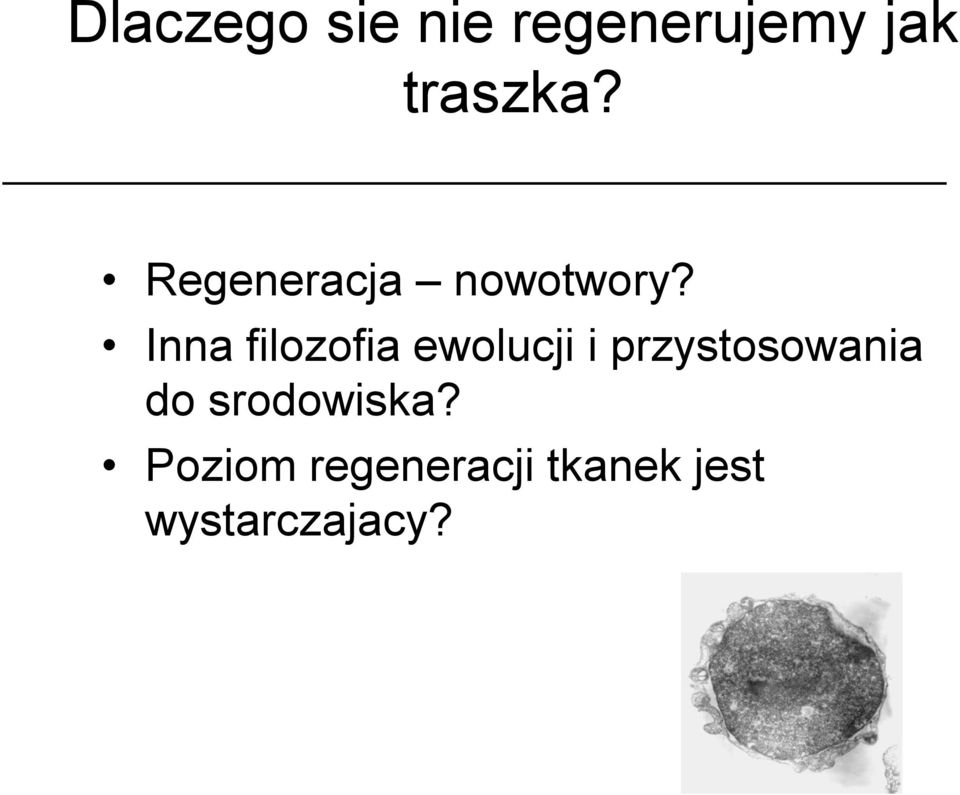 Inna filozofia ewolucji i przystosowania