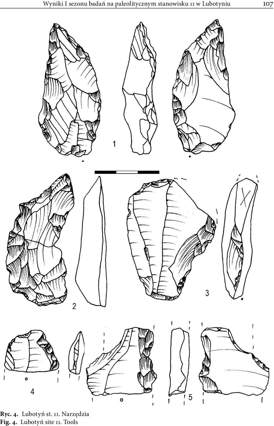 Lubotyniu 107 Ryc. 4. Lubotyń st.