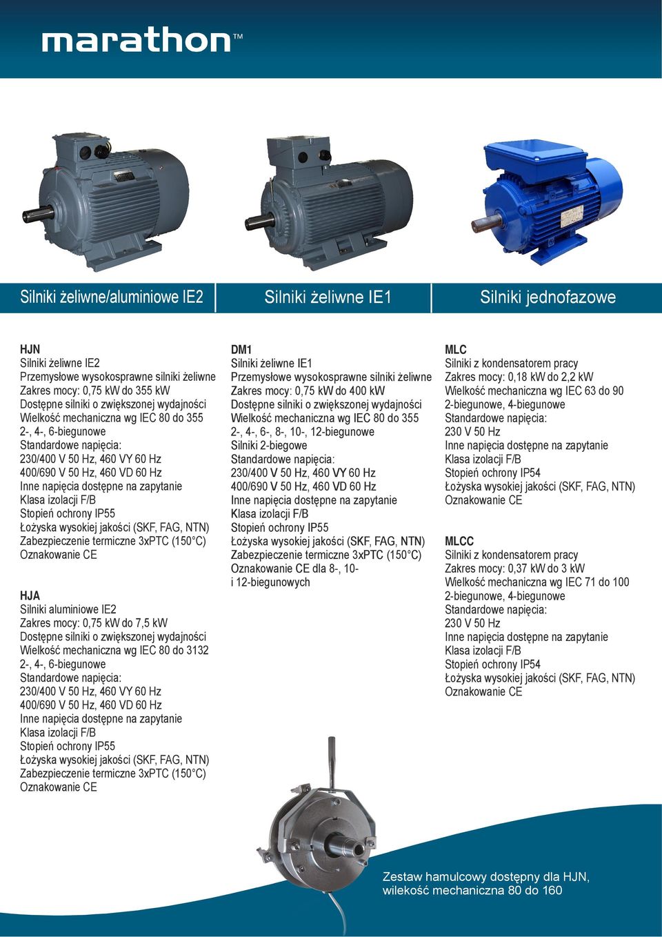 żeliwne IE1 Zakres mocy: 0,75 kw do 400 kw Dostępne silniki o zwiększonej wydajności Wielkość mechaniczna wg IEC 80 do 355 2-, 4-, 6-, 8-, 10-, 12-biegunowe Silniki 2-biegowe dla 8-, 10- i