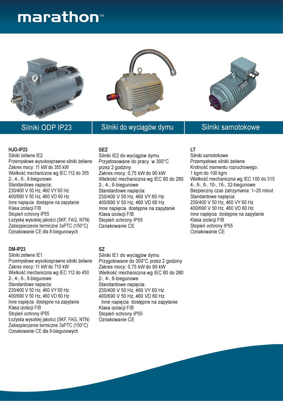 Przemysłowe silniki żeliwne Krotność momentu rozruchowego: 1 kgm do 100 kgm Wielkość mechaniczna wg IEC 100 do 315 4-, 6-, 8-, 10-, 16-, 32-biegunowe Bezpieczny czas zatrzymania: 1 20 minut DM-IP23