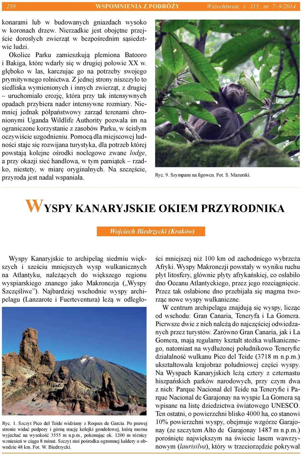 głęboko w las, karczując go na potrzeby swojego prymitywnego rolnictwa.