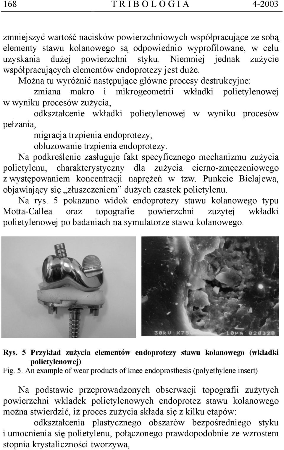 Można tu wyróżnić następujące główne procesy destrukcyjne: zmiana makro i mikrogeometrii wkładki polietylenowej w wyniku procesów zużycia, odkształcenie wkładki polietylenowej w wyniku procesów