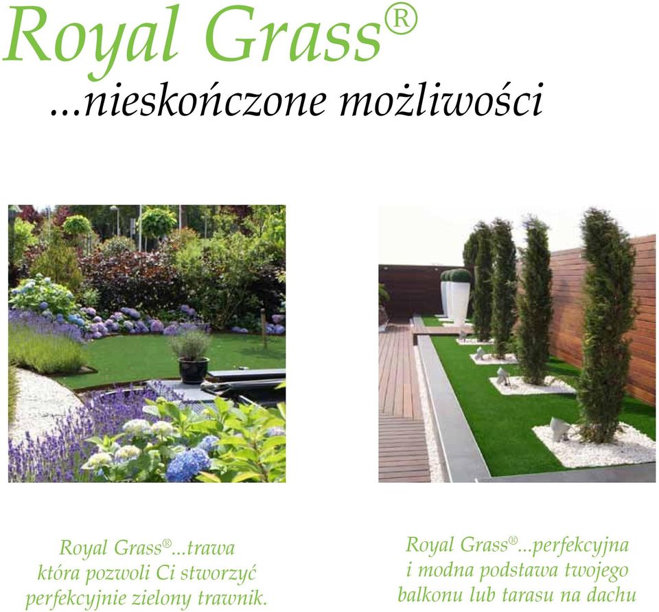 zielony trawnik. Royal Grass.