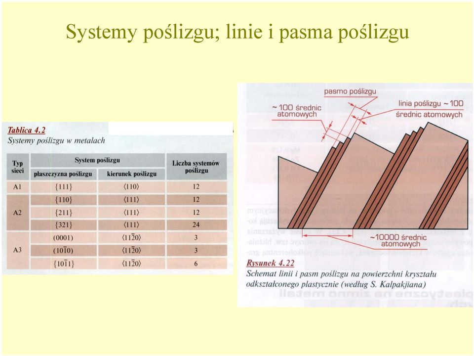 linie i