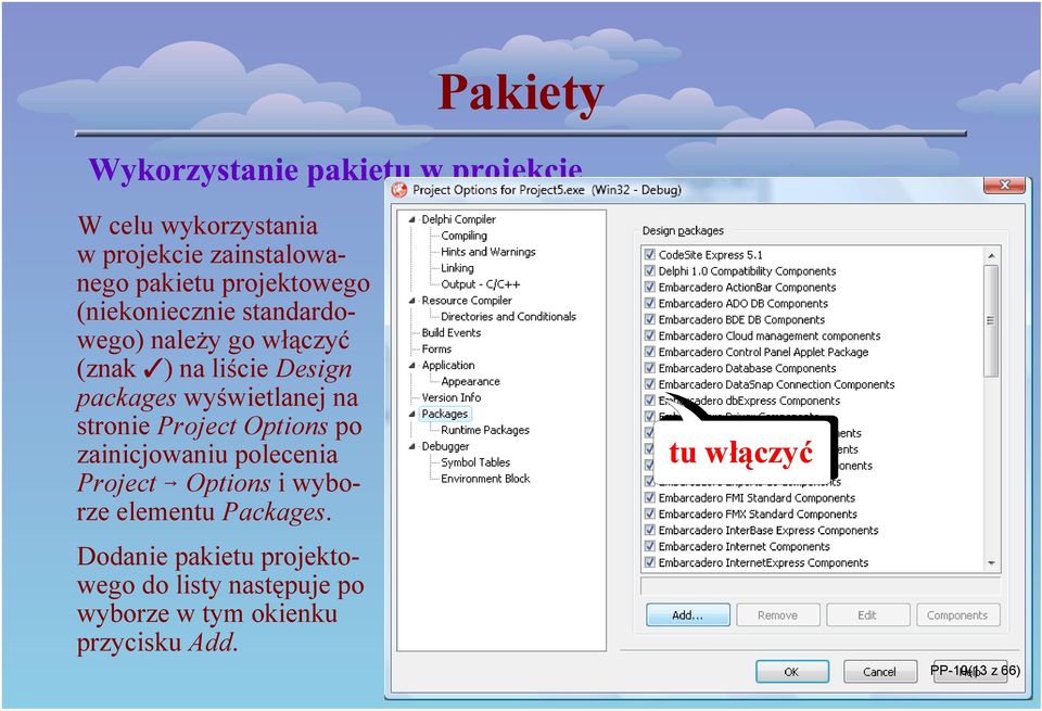 Project Options po zainicjowaniu polecenia Project 6 Options i wyborze elementu Packages.