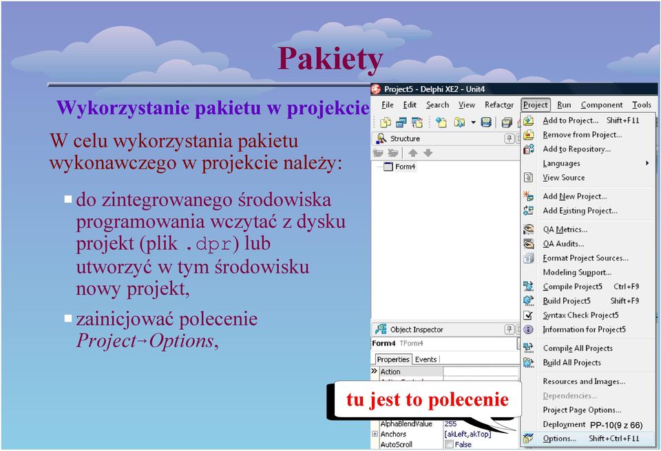dysku projekt (plik.