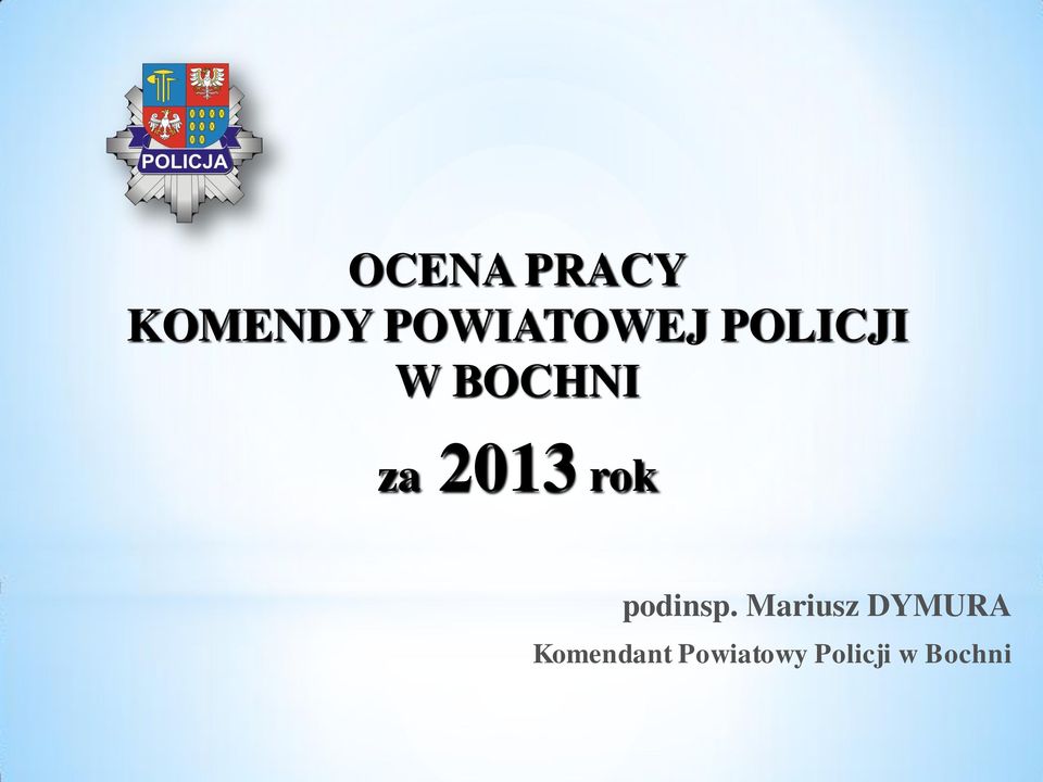 za 2013 rok podinsp.