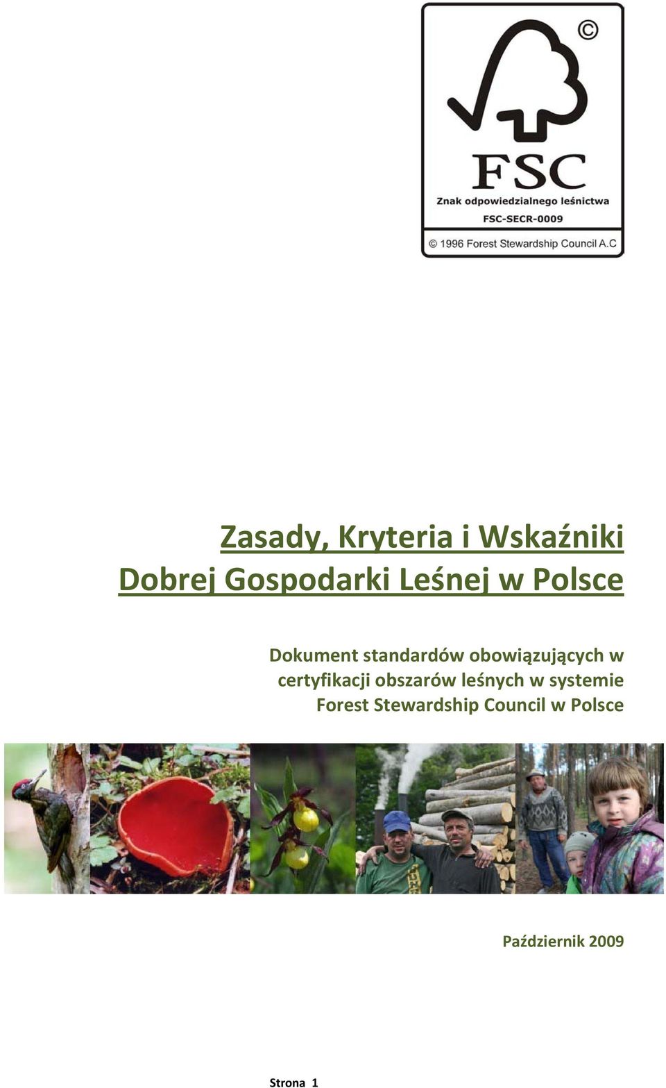 w certyfikacji obszarów leśnych w systemie Forest