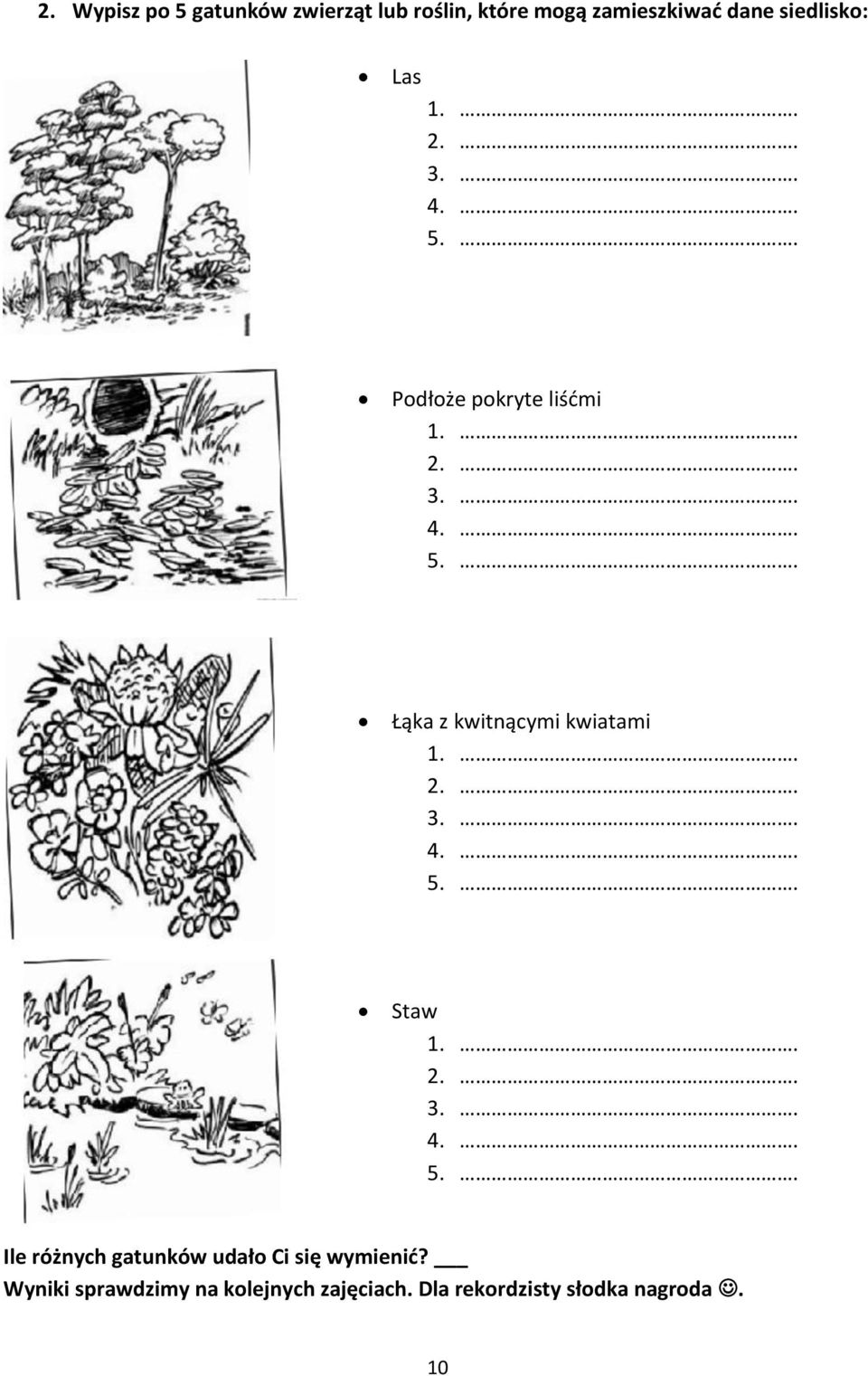 . 2.. 3.. 4.. 5.. Staw 1.. 2.. 3.. 4.. 5.. Ile różnych gatunków udało Ci się wymienić?