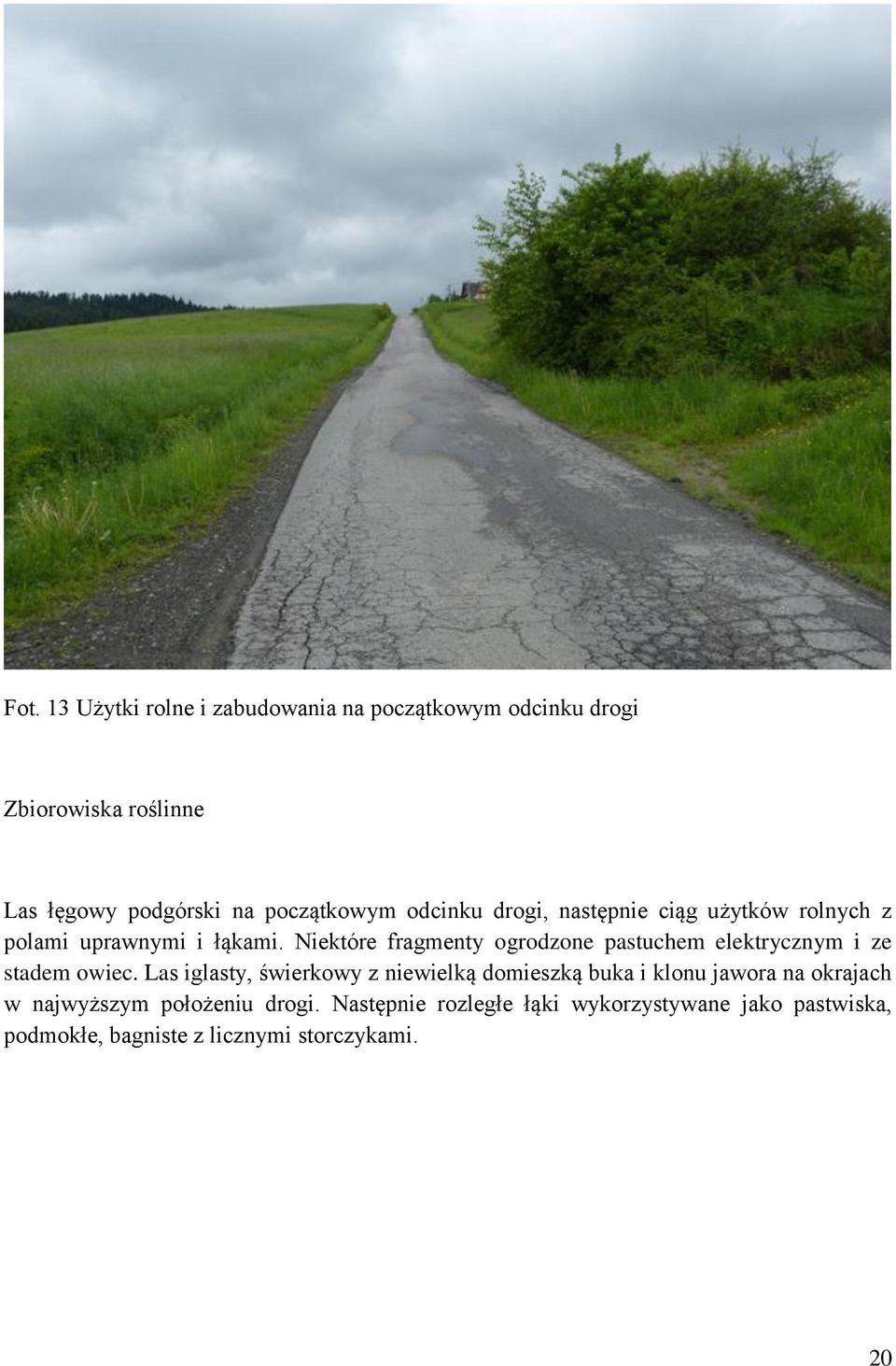 Niektóre fragmenty ogrodzone pastuchem elektrycznym i ze stadem owiec.