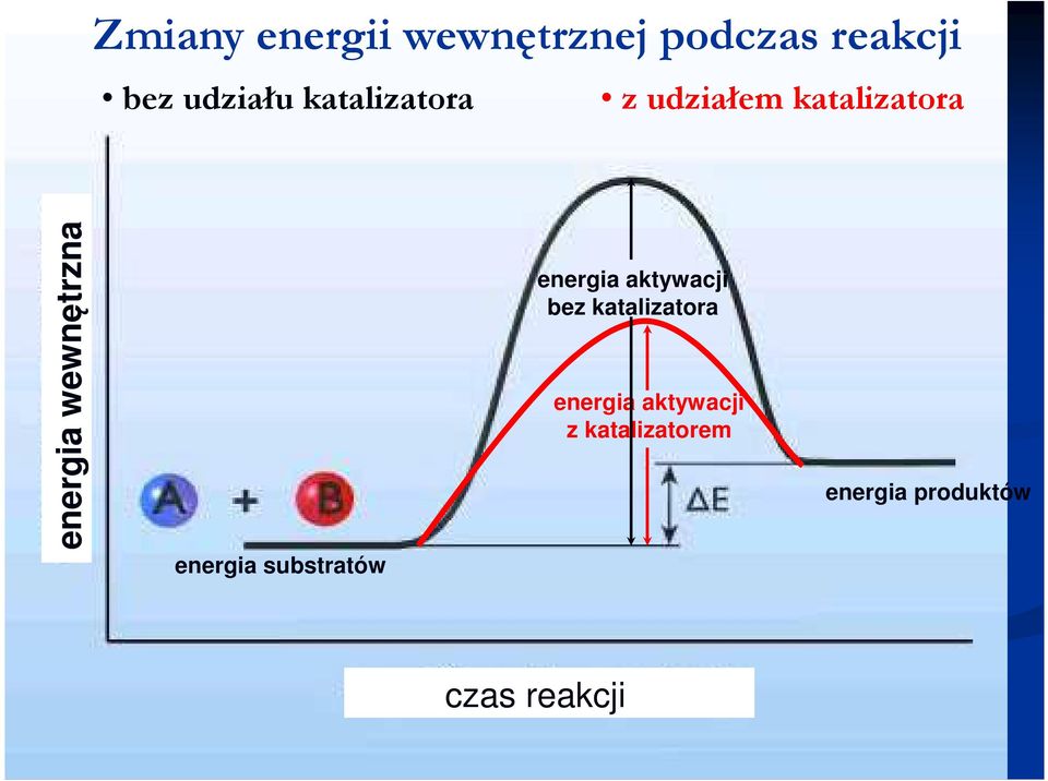 energia substratów energia aktywacji bez katalizatora