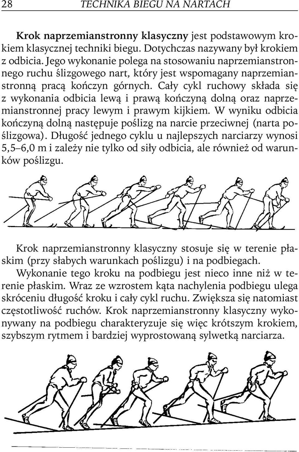 Cały cykl ruchowy składa się z wykonania odbicia lewą i prawą kończyną dolną oraz naprzemianstronnej pracy lewym i prawym kijkiem.