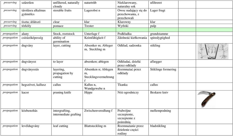 propagation csírázóképesség ability of Keimfähigkeit f Zdolność kiełkowania spiredygtighed germination propagation dugvány layer, cutting Absenker m; Ableger m, Steckling m Odkład, sadzonka stikling