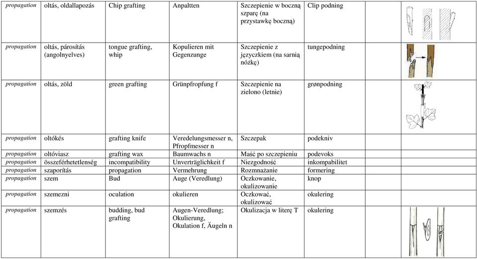 knife Veredelungsmesser n, Szczepak podekniv Pfropfmesser n propagation oltóviasz grafting wax Baumwachs n Maść po szczepieniu podevoks propagation összeférhetetlenség incompatibility