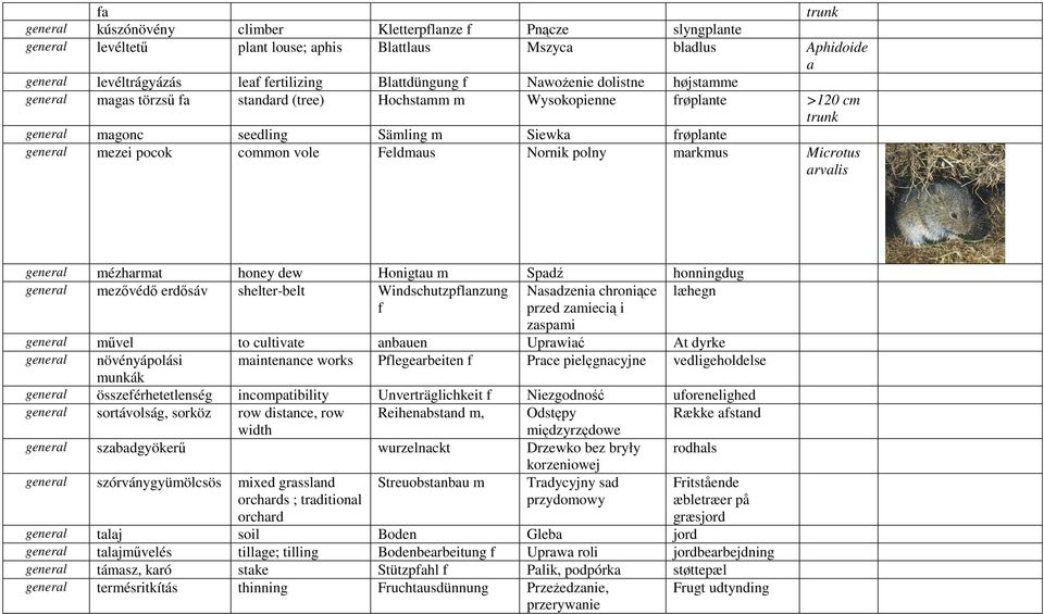 vole Feldmaus Nornik polny markmus Microtus arvalis general mézharmat honey dew Honigtau m Spadź honningdug general mezővédő erdősáv shelter-belt Windschutzpflanzung Nasadzenia chroniące læhegn f