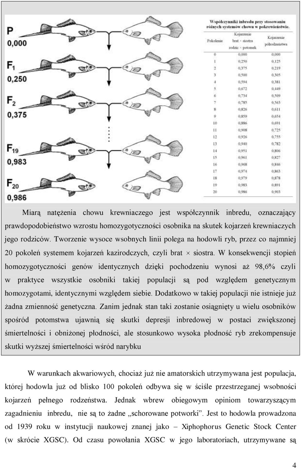 W konsekwencji stopień homozygotyczności genów identycznych dzięki pochodzeniu wynosi aż 98,6% czyli w praktyce wszystkie osobniki takiej populacji są pod względem genetycznym homozygotami,