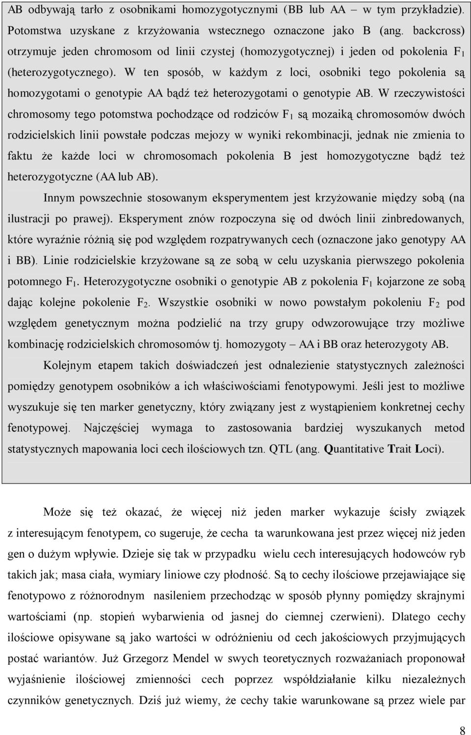 W ten sposób, w każdym z loci, osobniki tego pokolenia są homozygotami o genotypie AA bądź też heterozygotami o genotypie AB.