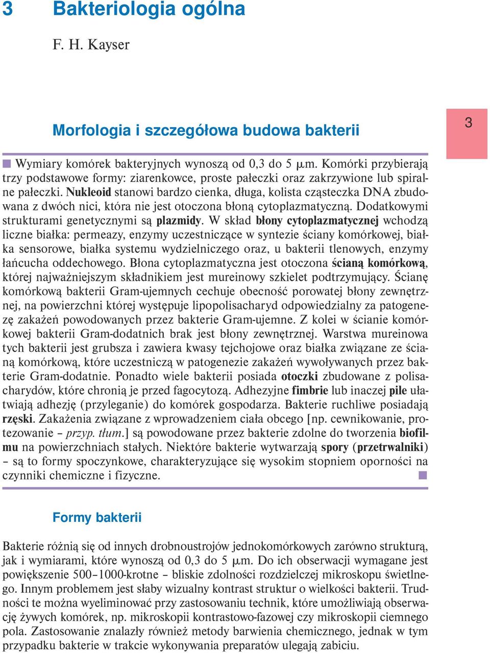 Nukleoid stanowi bardzo cienka, długa, kolista cząsteczka DNA zbudowana z dwóch nici, która nie jest otoczona błoną cytoplazmatyczną. Dodatkowymi strukturami genetycznymi są plazmidy.