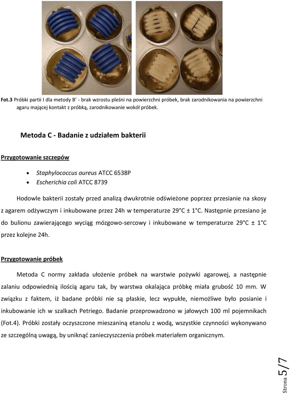 przesianie na skosy z agarem odżywczym i inkubowane przez 24h w temperaturze 29 C ± 1 C.
