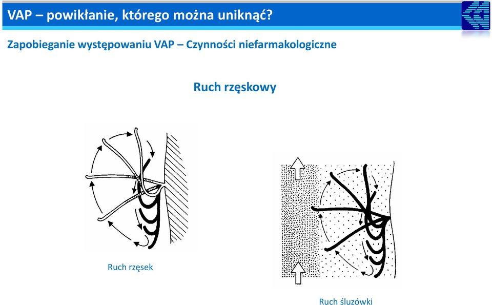 Czynności