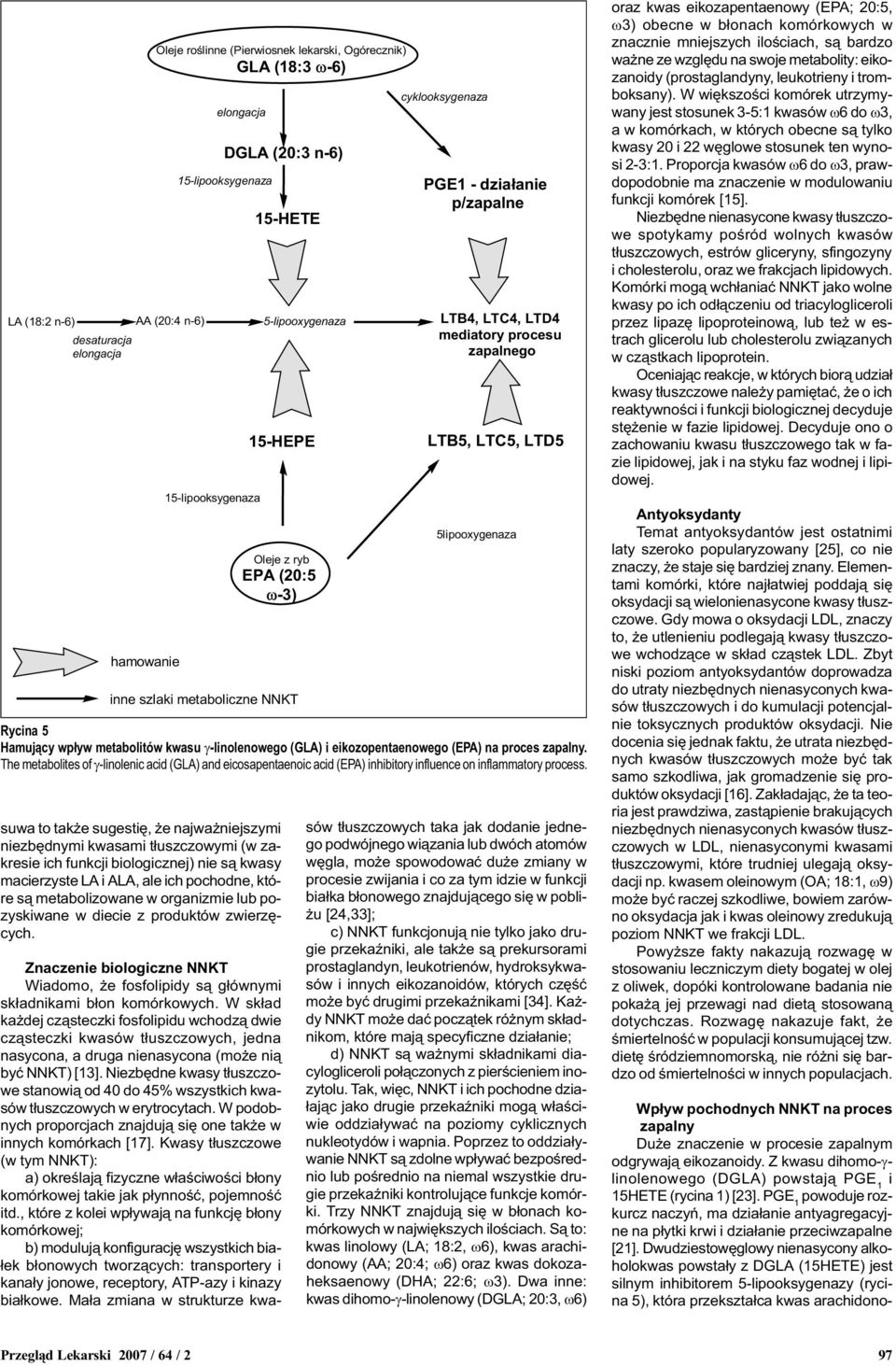 g-linolenowego (GLA) i eikozopentaenowego (EPA) na proces zapalny. The metabolites of g-linolenic acid (GLA) and eicosapentaenoic acid (EPA) inhibitory influence on inflammatory process.