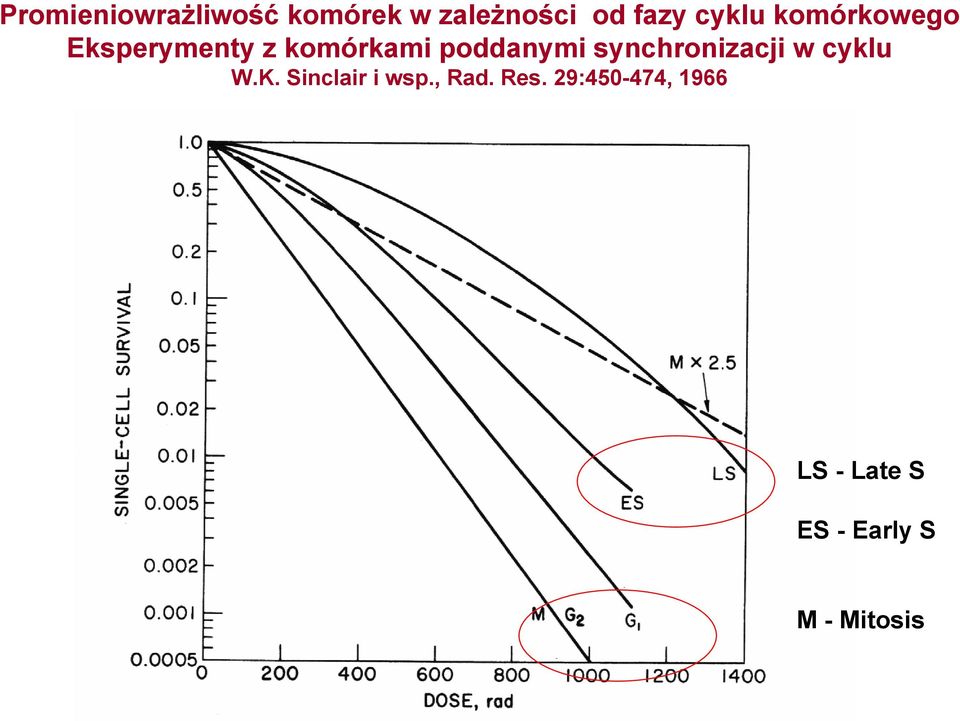 synchronizacji w cyklu W.K. Sinclair i wsp., Rad.