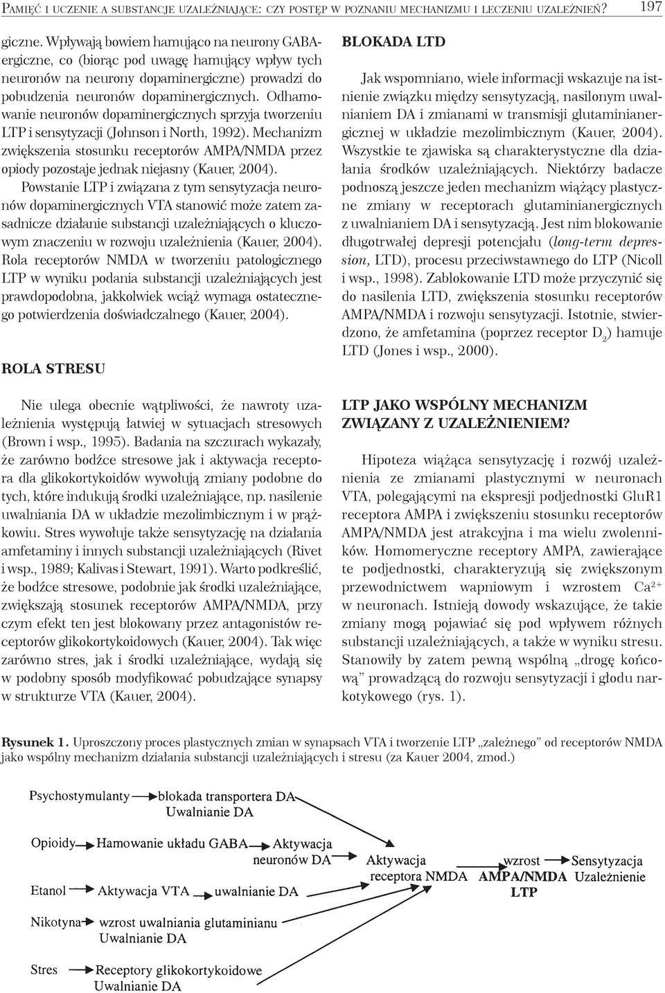 Odhamowanie neuronów dopaminergicznych sprzyja tworzeniu LTP i sensytyzacji (Johnson i North, 1992).