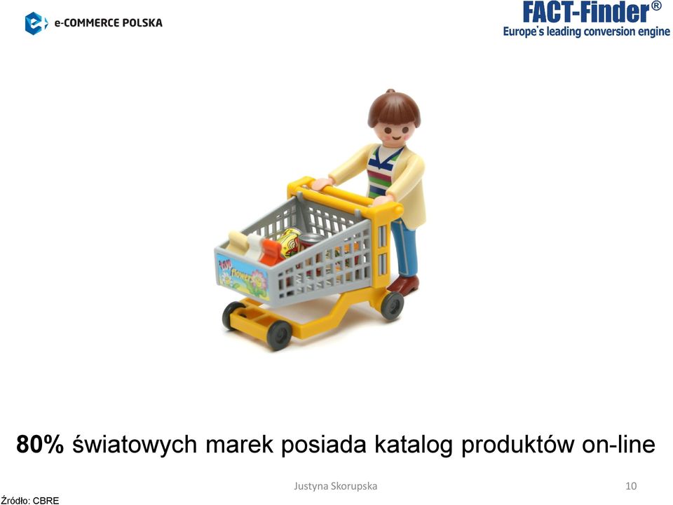 katalog produktów