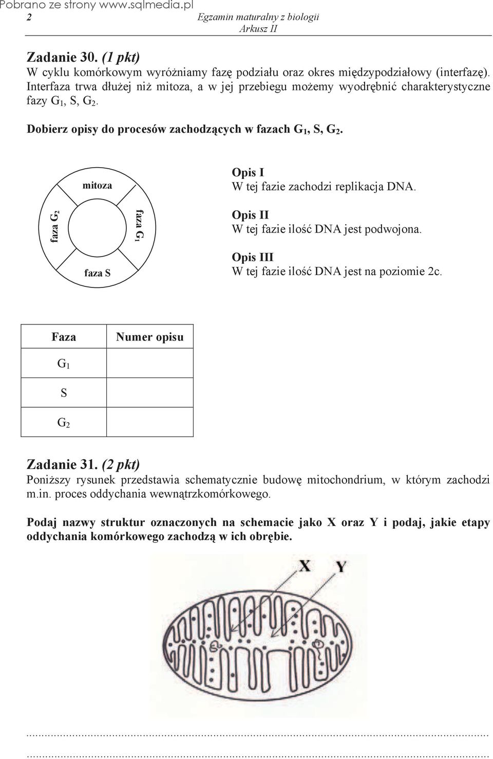 mitoza Opis I W tej fazie zachodzi replikacja DNA. faza G2 faza G1 Opis II W tej fazie ilo DNA jest podwojona. faza S Opis III W tej fazie ilo DNA jest na poziomie 2c.