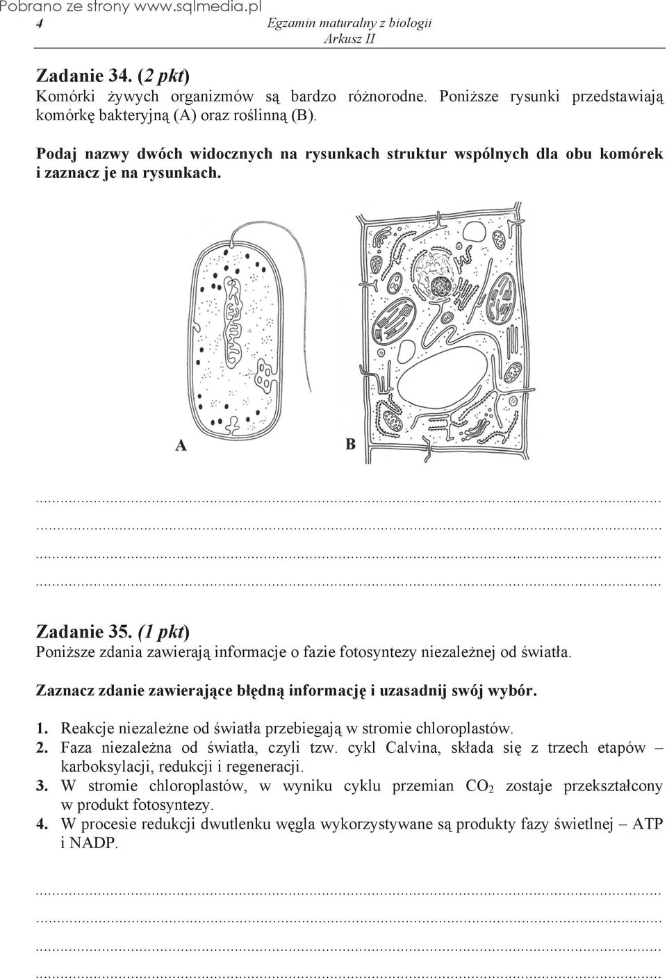 (1 pkt) Poni sze zdania zawieraj informacje o fazie fotosyntezy niezale nej od wiat a. Zaznacz zdanie zawieraj ce b dn informacj i uzasadnij swój wybór. 1.