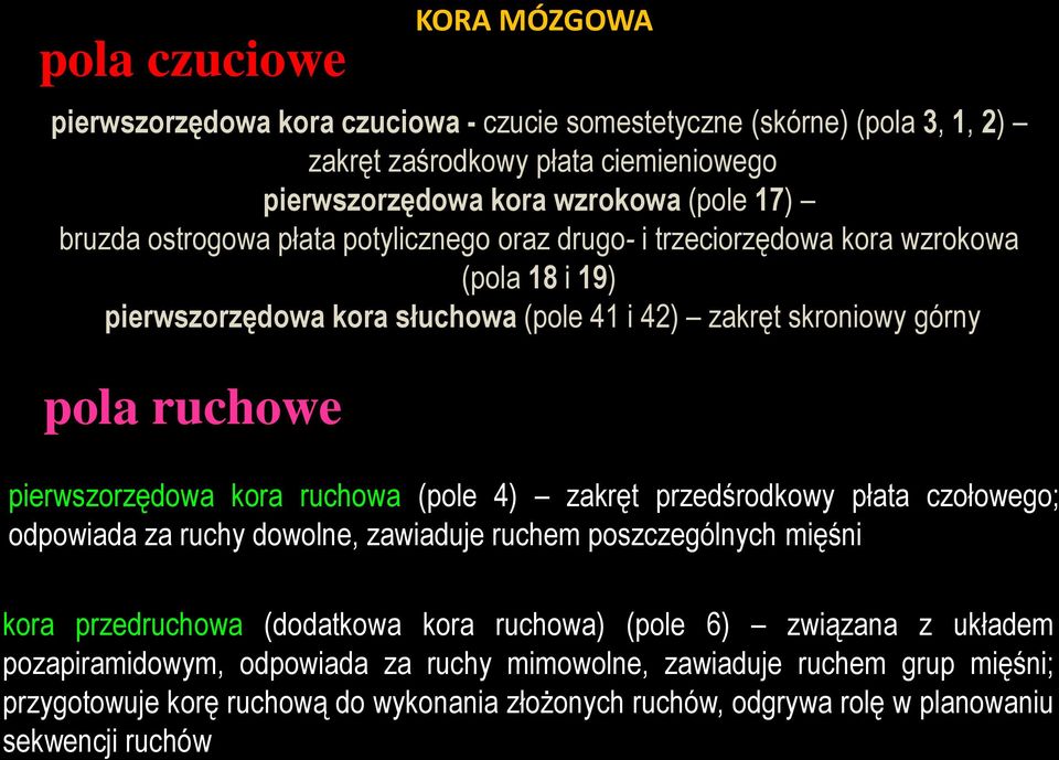 pierwszorzędowa kora ruchowa (pole 4) zakręt przedśrodkowy płata czołowego; odpowiada za ruchy dowolne, zawiaduje ruchem poszczególnych mięśni kora przedruchowa (dodatkowa kora ruchowa)