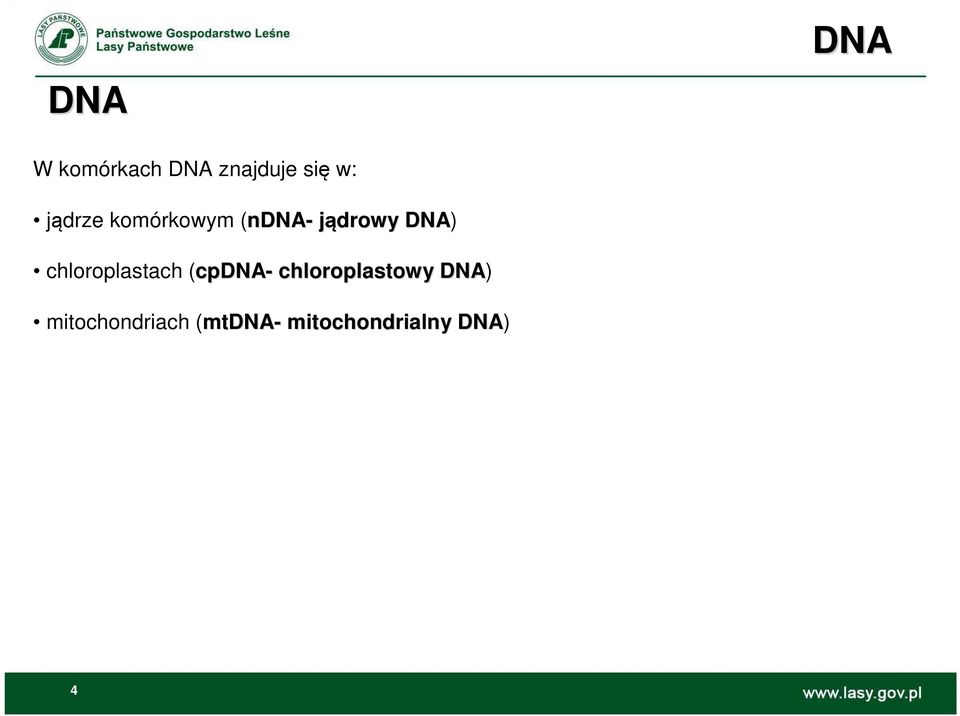 chloroplastach (cpdna- chloroplastowy